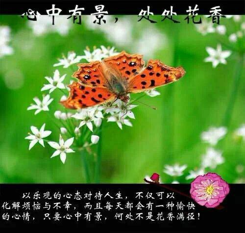 QQͼƬ20140919121519.jpg