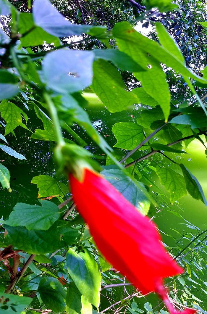 20140928_143356.jpg