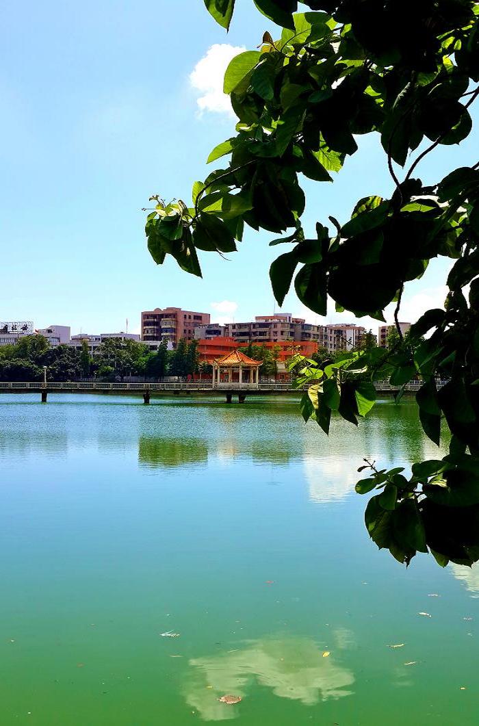 20140928_130934.jpg