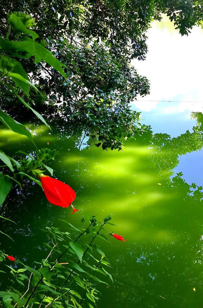 20140928_143348.jpg