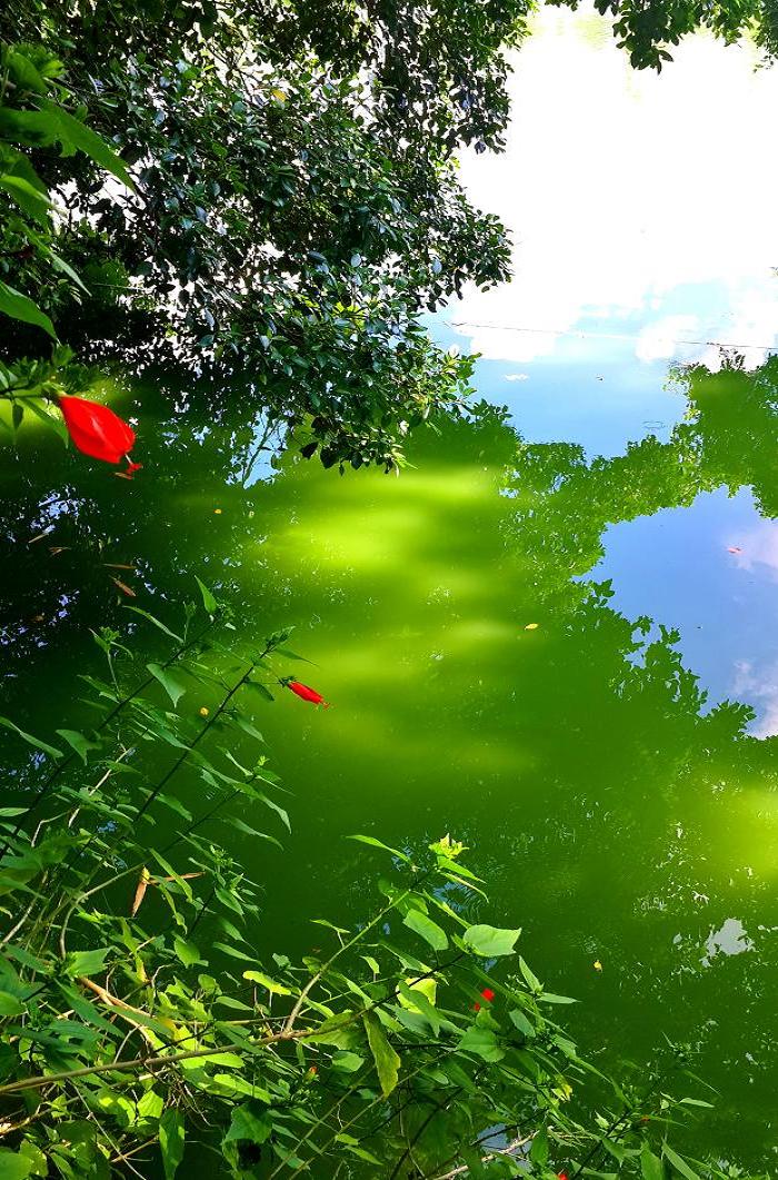 20140928_143409.jpg