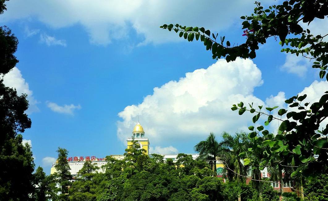 20140928_143230.jpg
