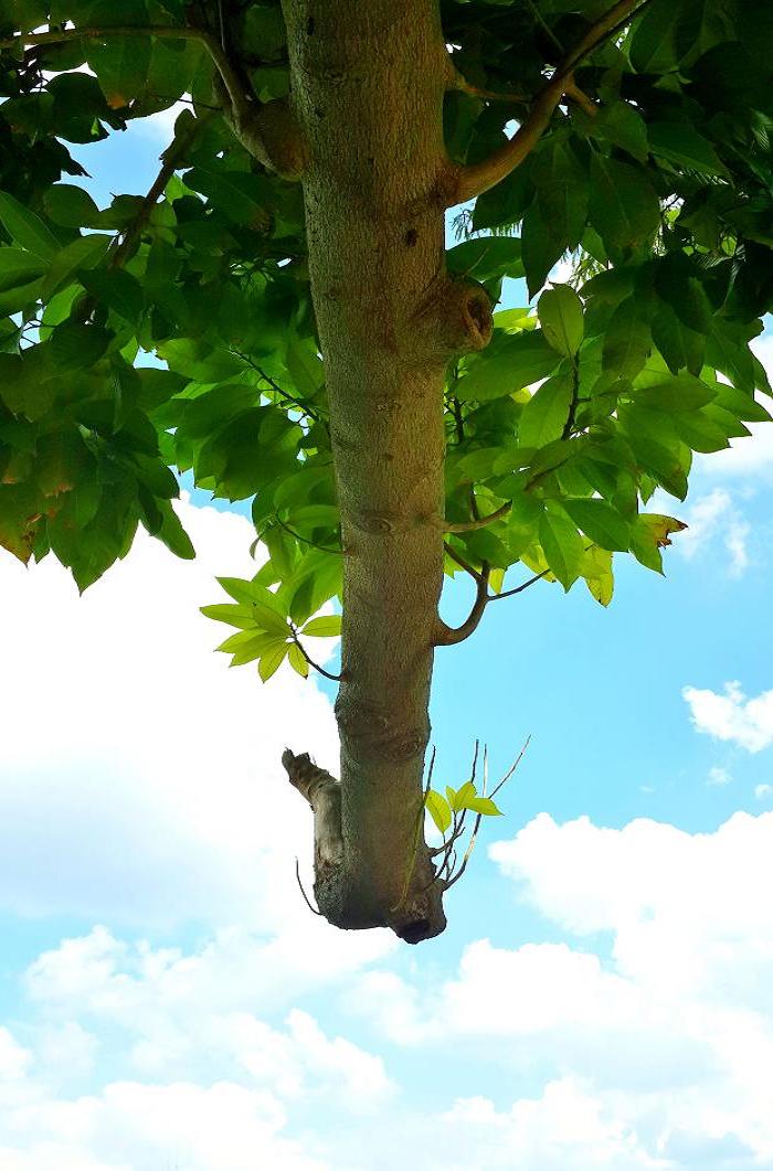 20140928_144729.jpg