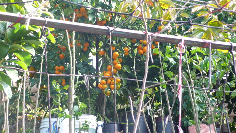 P1200560.JPG