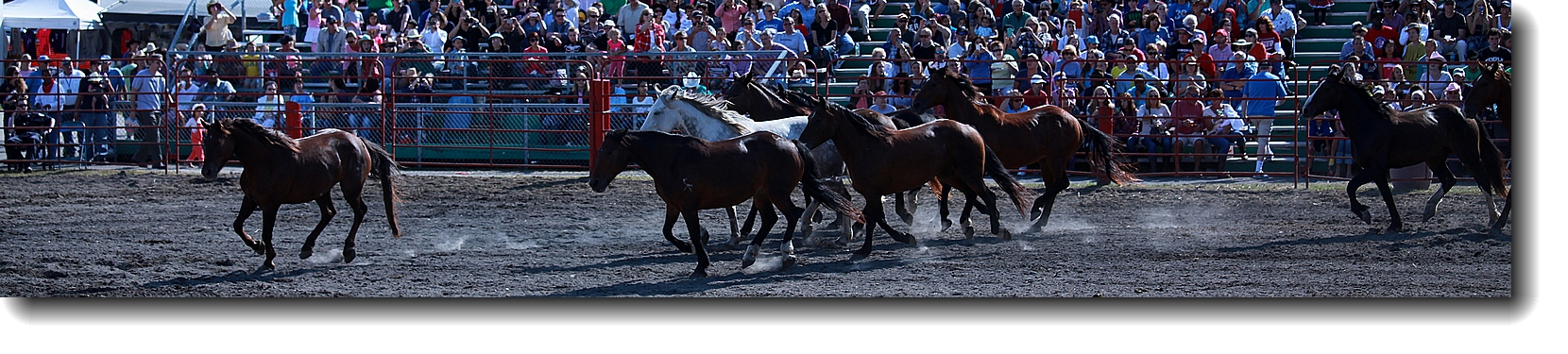 IMG_1624a.jpg