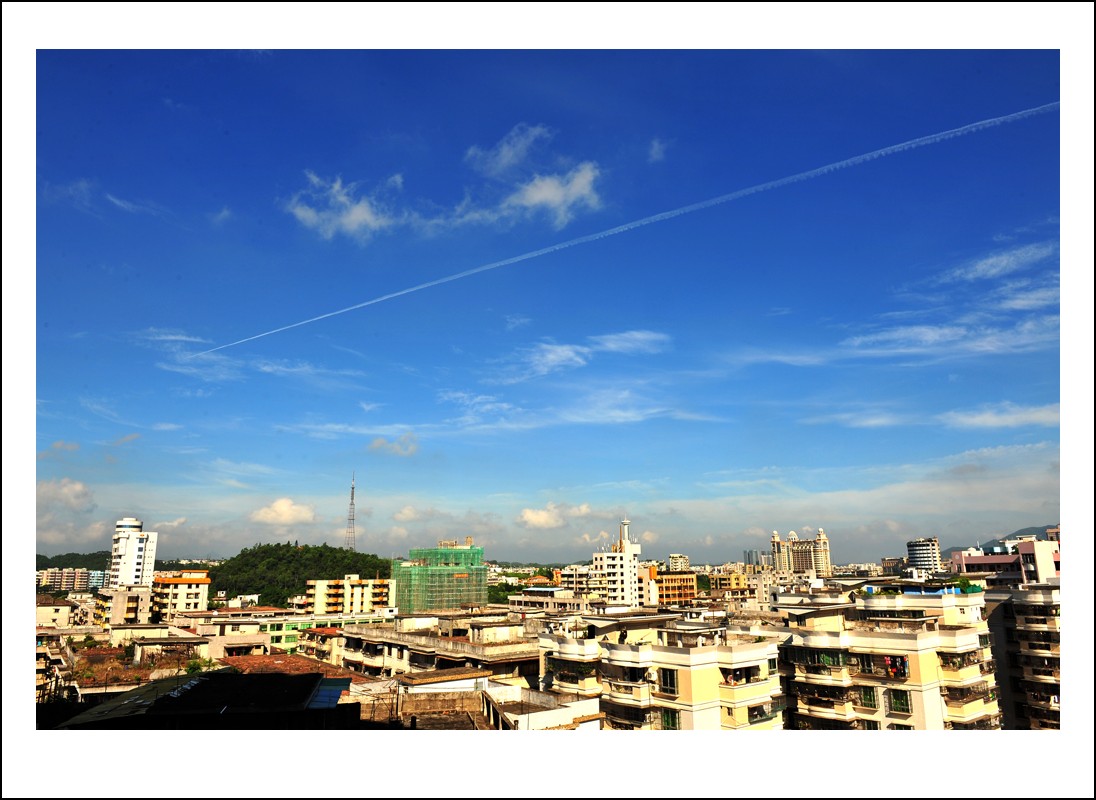 DSC_5570_conew1.jpg
