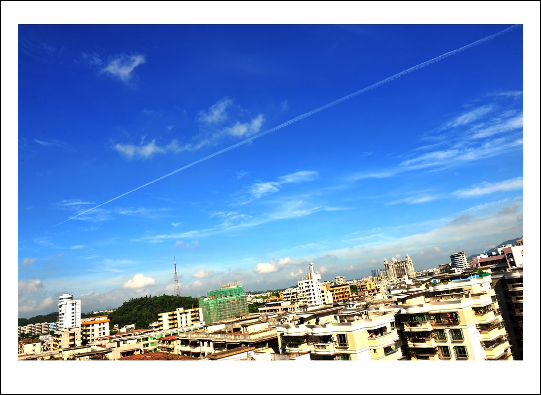 DSC_5573_conew1.jpg