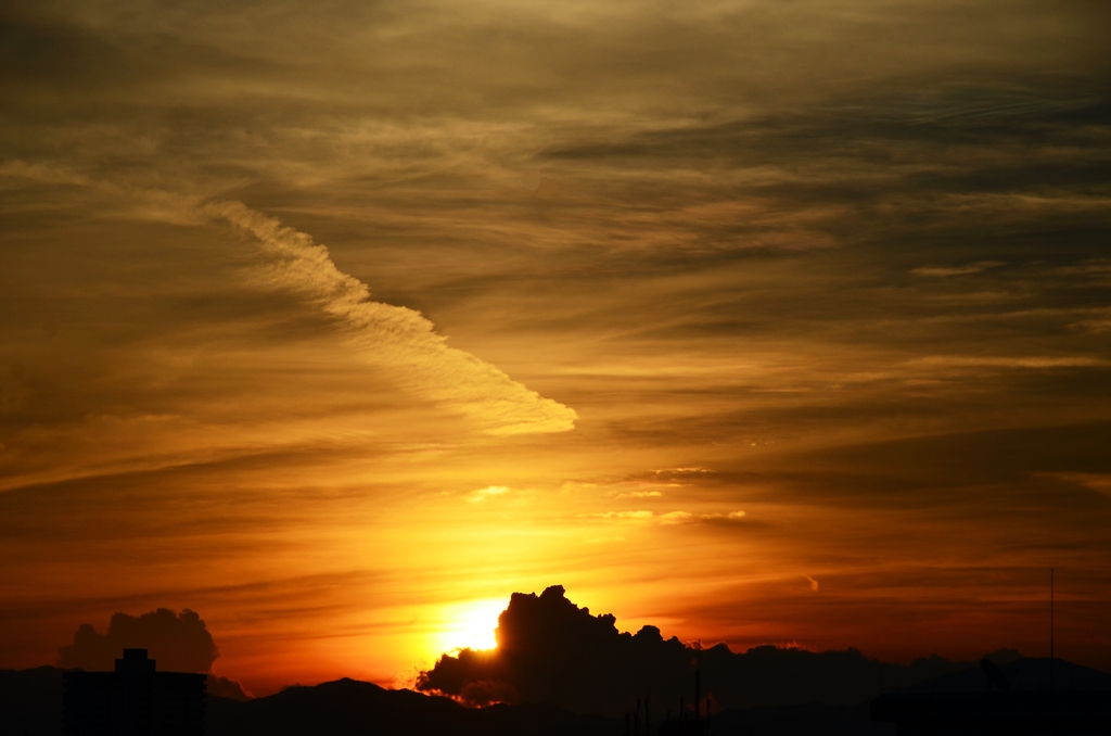 DSC_4002.JPG