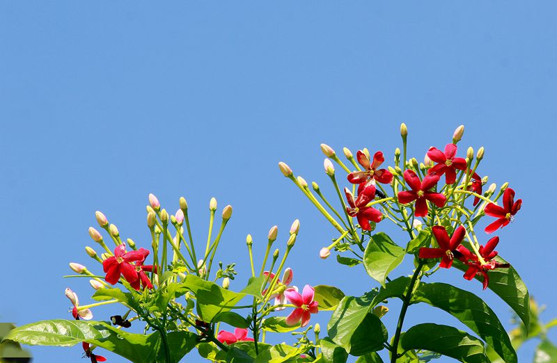 IMG_2899__.jpg