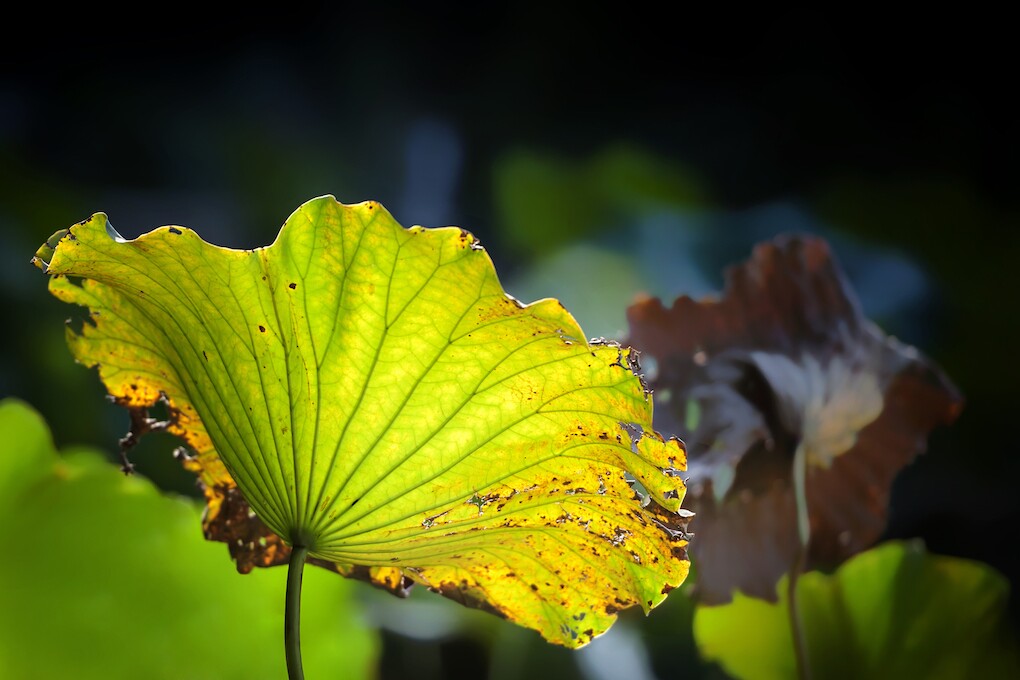 QQͼƬ20140921054431.jpg