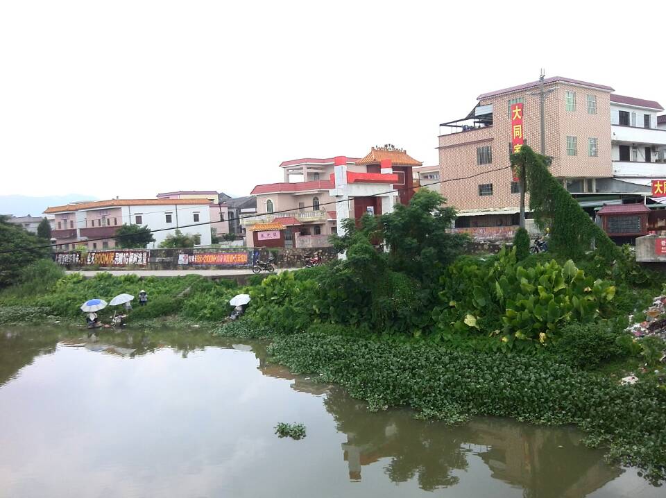 mmexport1410625156639.jpg