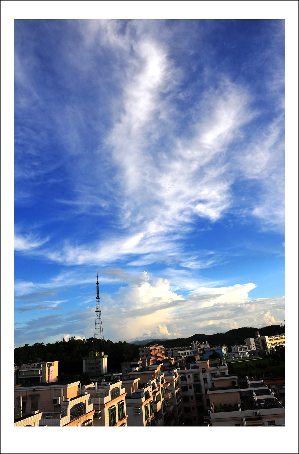 DSC_9231_conew1.jpg