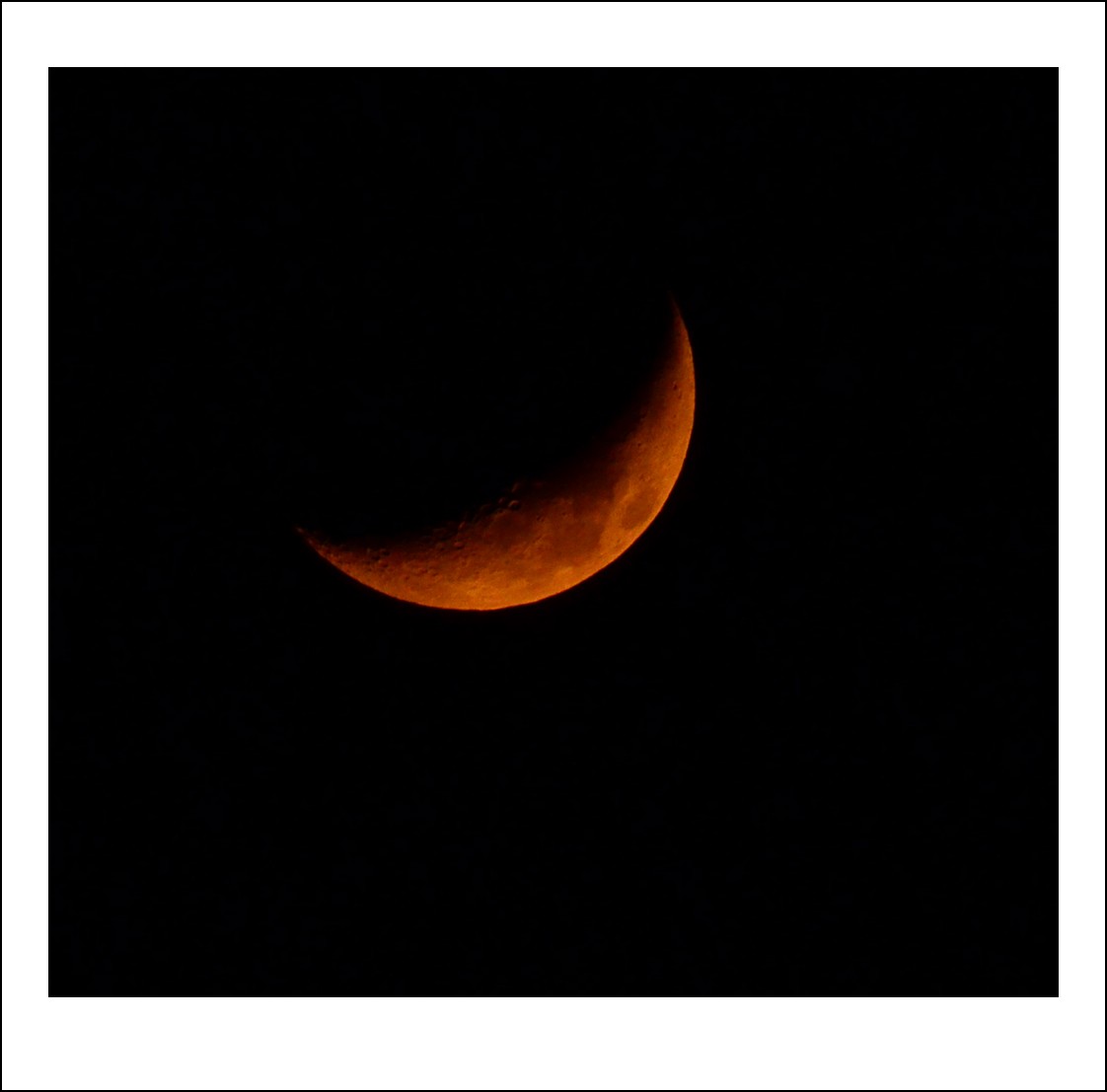 DSC_8498_conew1.jpg