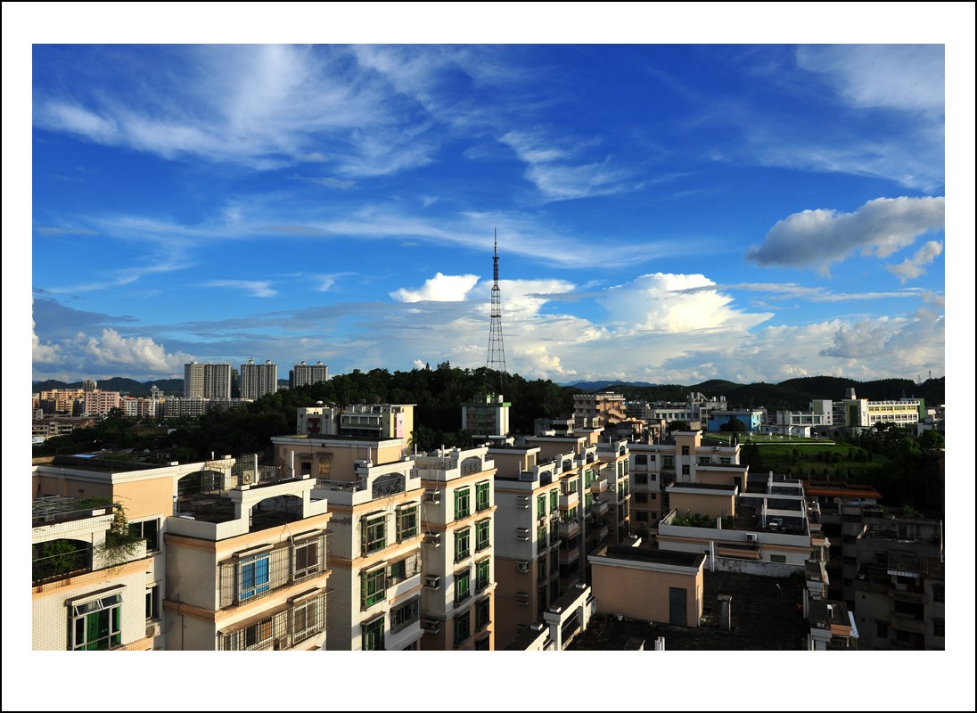DSC_9141_conew1.jpg