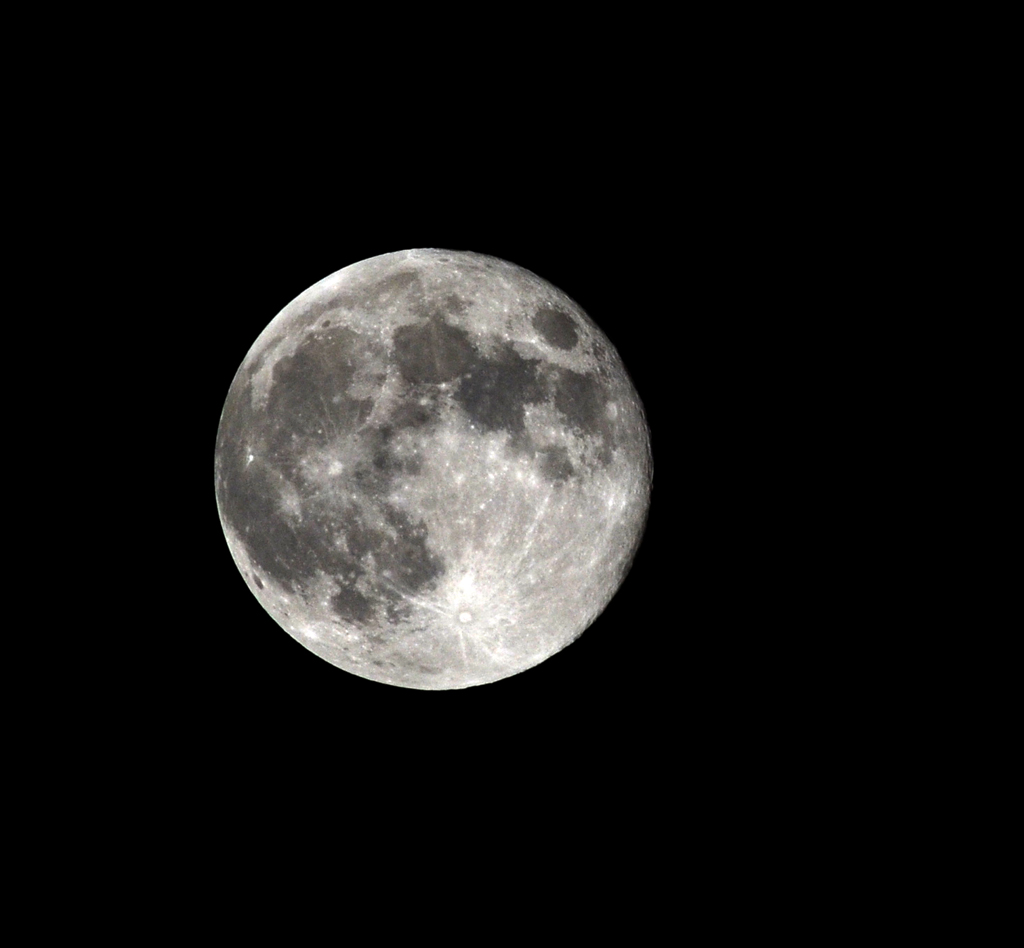 DSC_6339.JPG