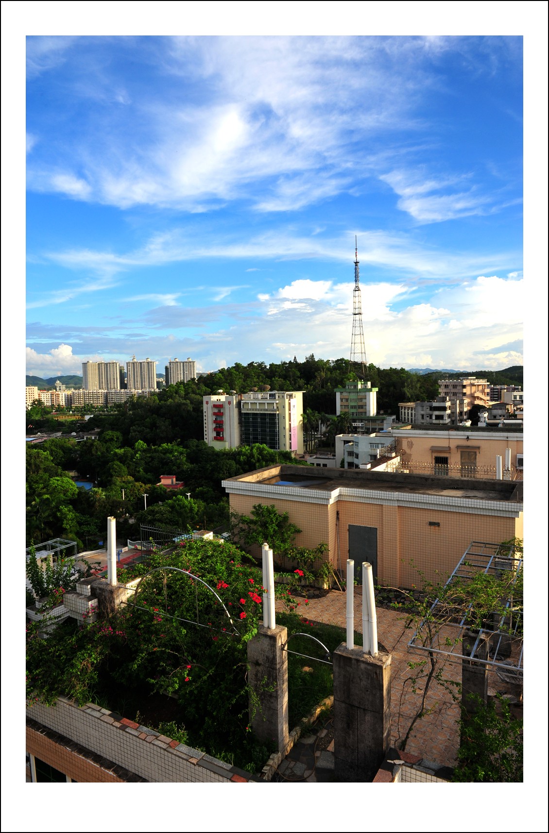 DSC_9175_conew1.jpg