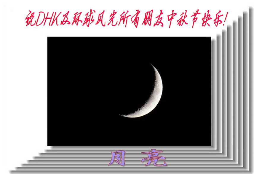 DSC_2168_conew3.jpg