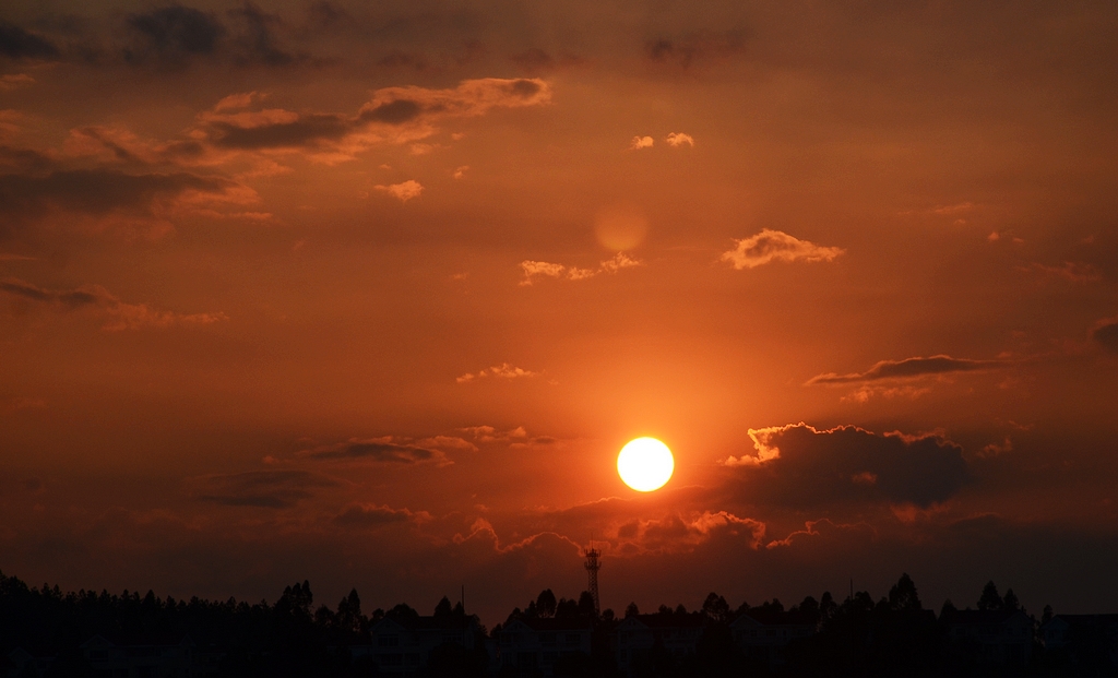 DSC_4915.JPG