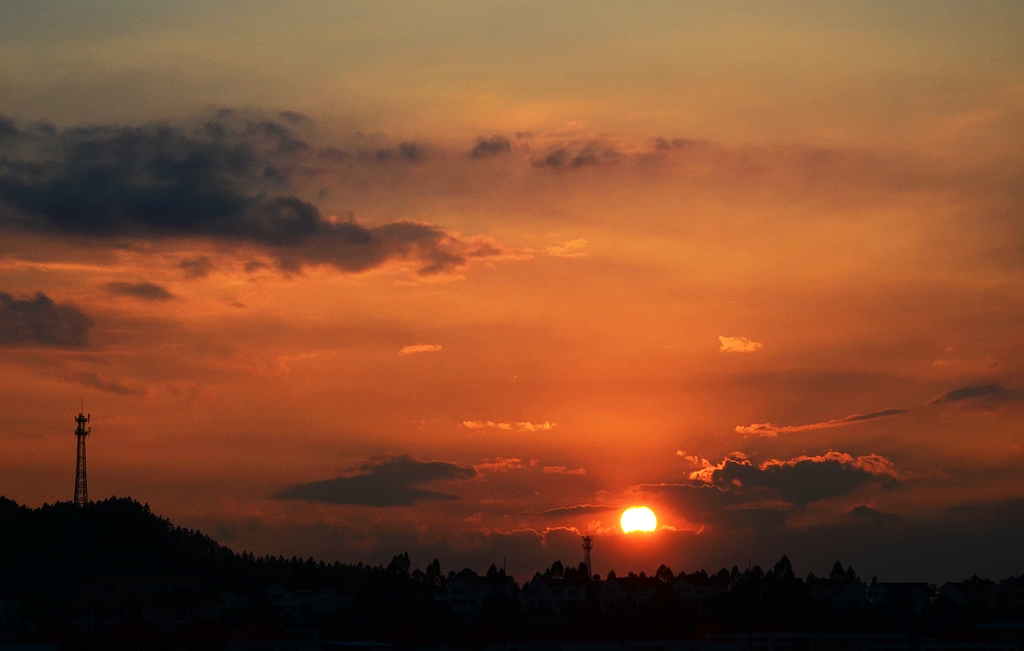DSC_4919.JPG