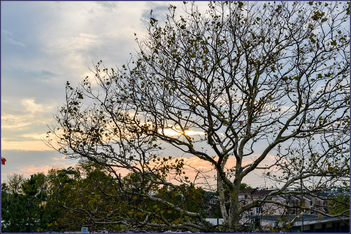 DSC_9226_.jpg