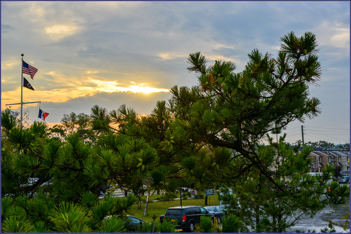 DSC_9230-2_.jpg