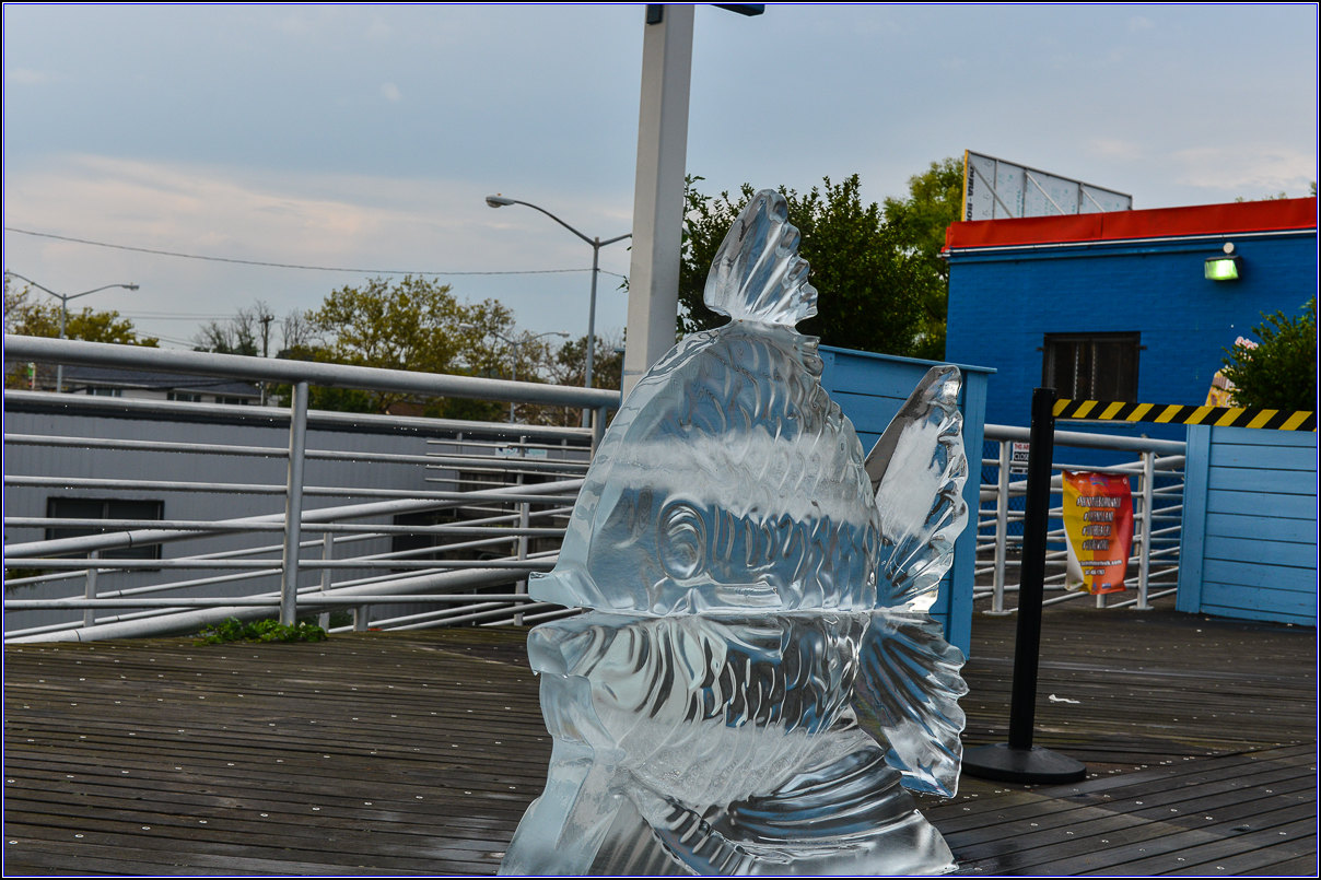 DSC_9174_.jpg