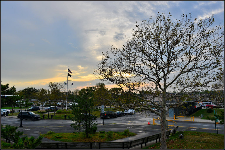 DSC_9228_.jpg