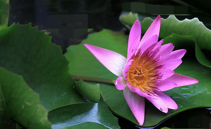 IMG_1983__.jpg
