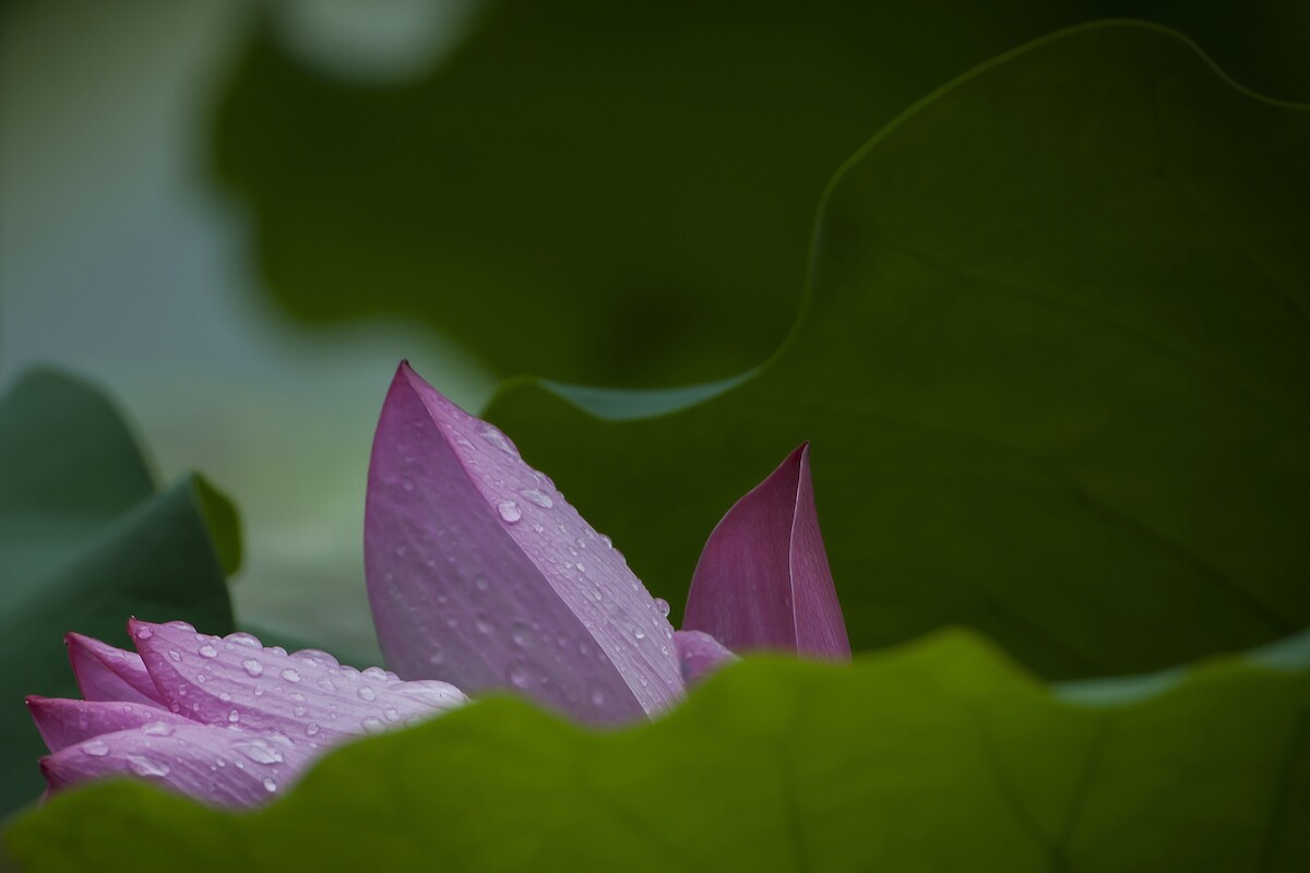 QQͼƬ20140610144416.jpg