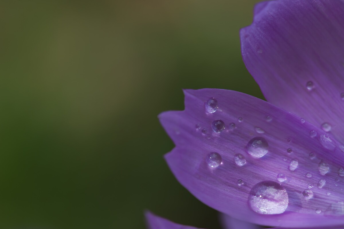 QQͼƬ20140531200821.jpg
