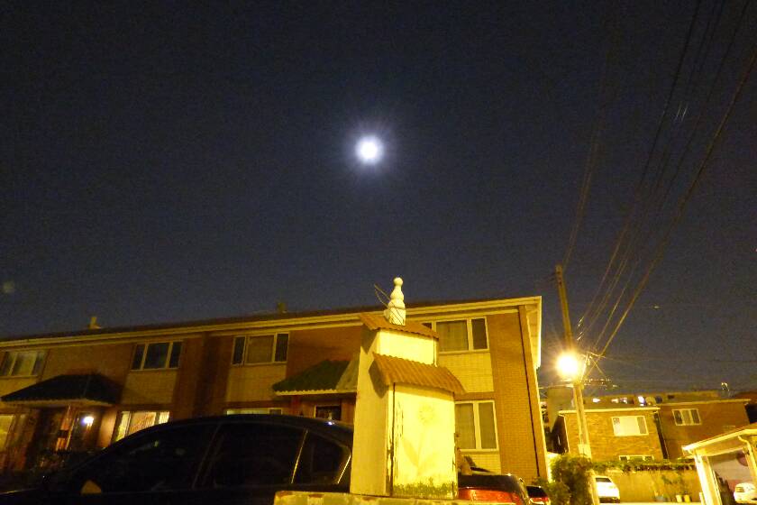 P1060014.JPG