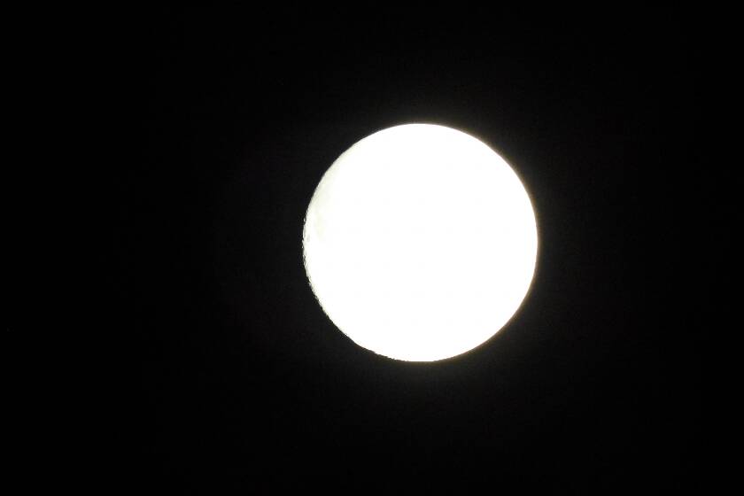 P1060017.JPG