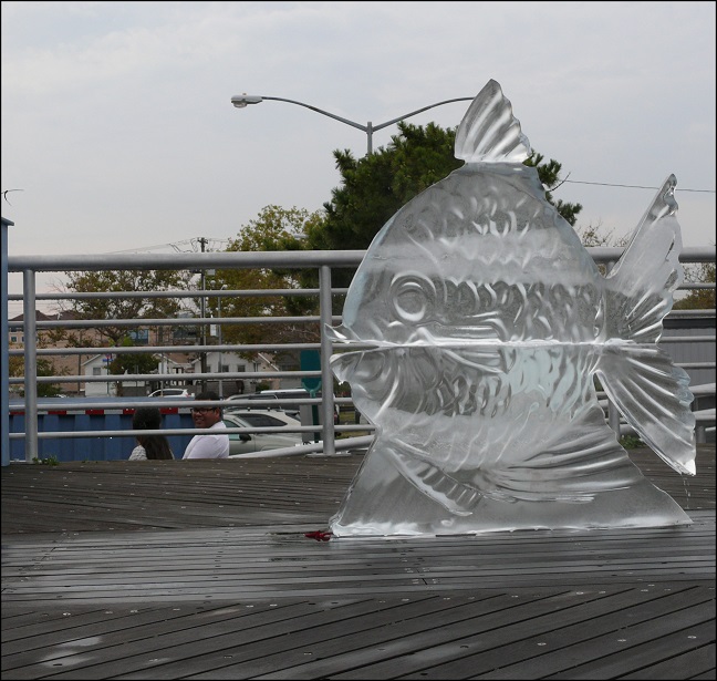 l1650253_conew1.jpg