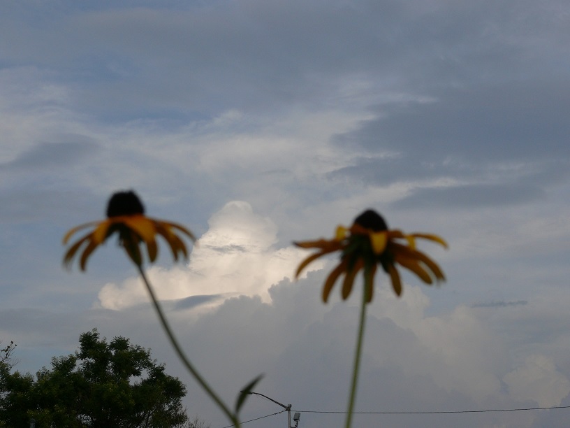L1650223.JPG