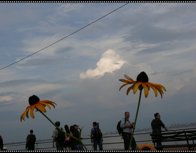 l1650227_conew1.jpg