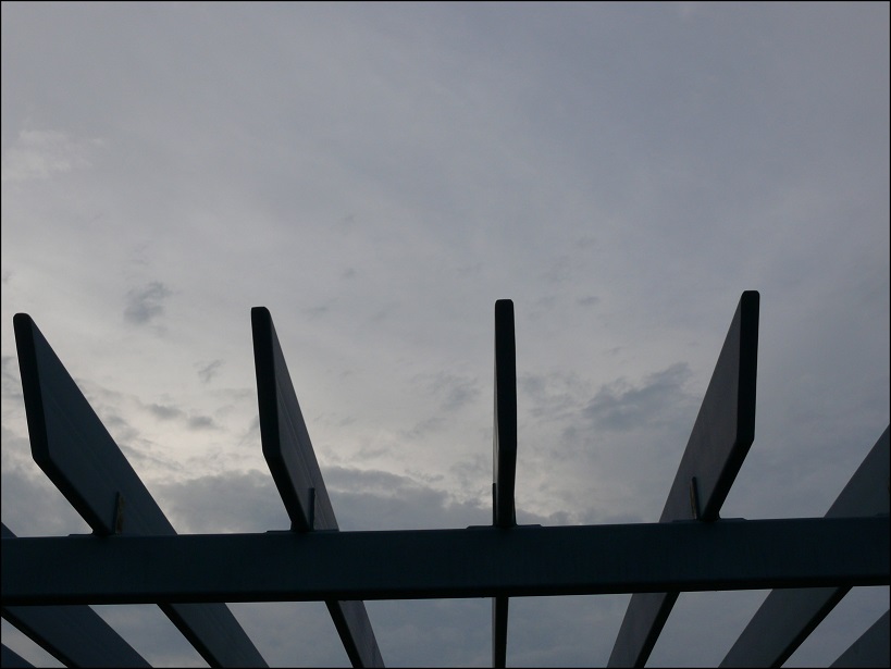 l1650254_conew1.jpg