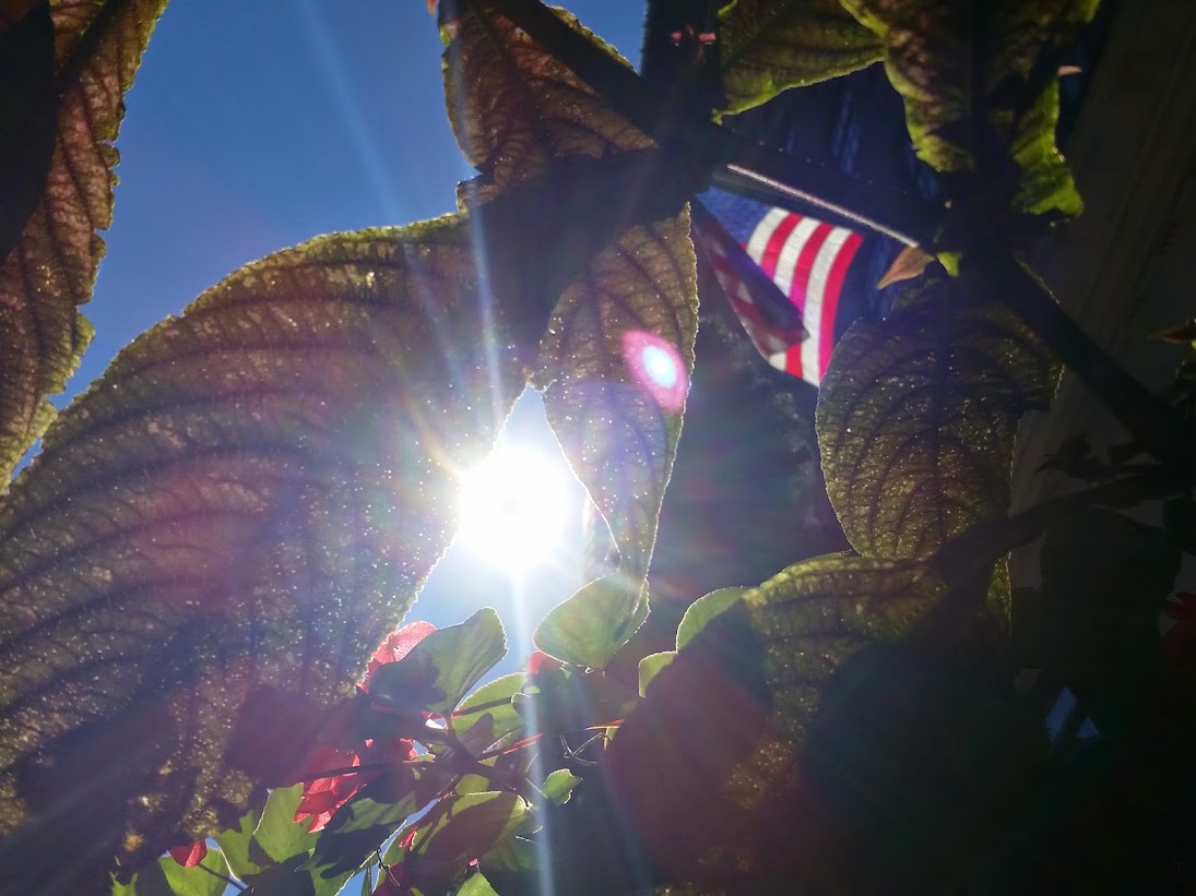 20140927_140631[1].jpg