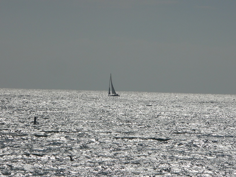 L1640643.JPG