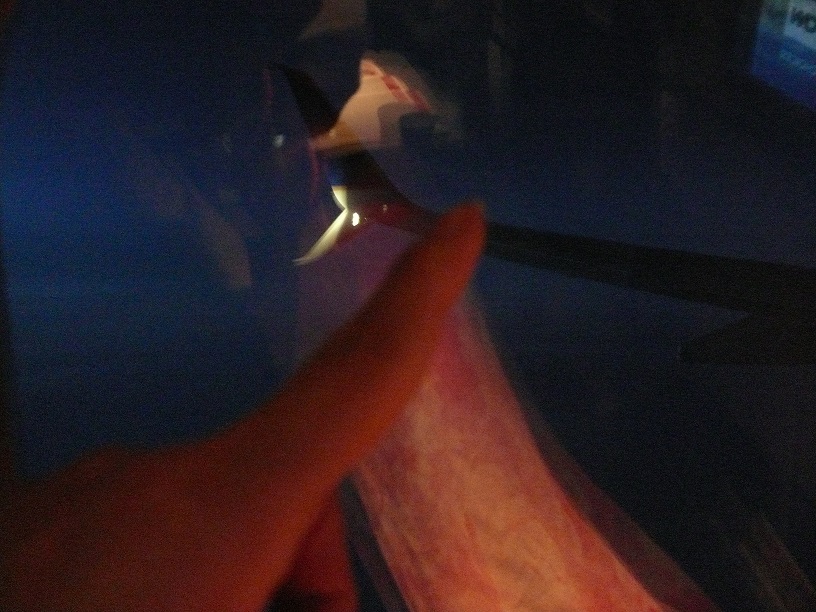 L1640911.JPG
