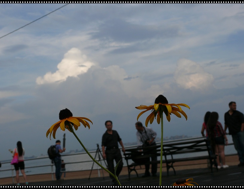 l1650228_conew1.jpg