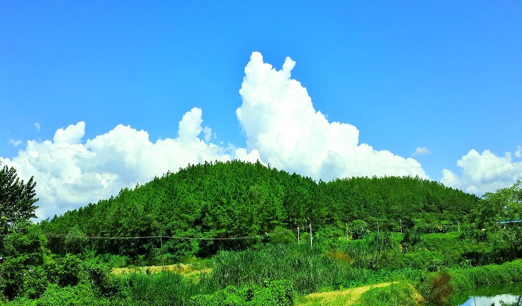 20140902_142937.jpg