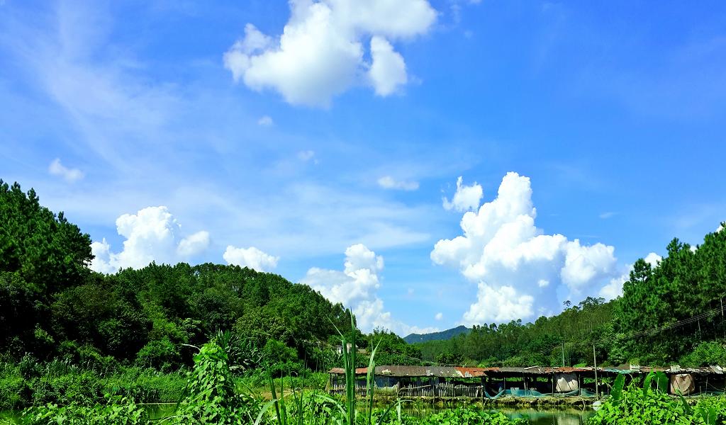 20140902_142802.jpg