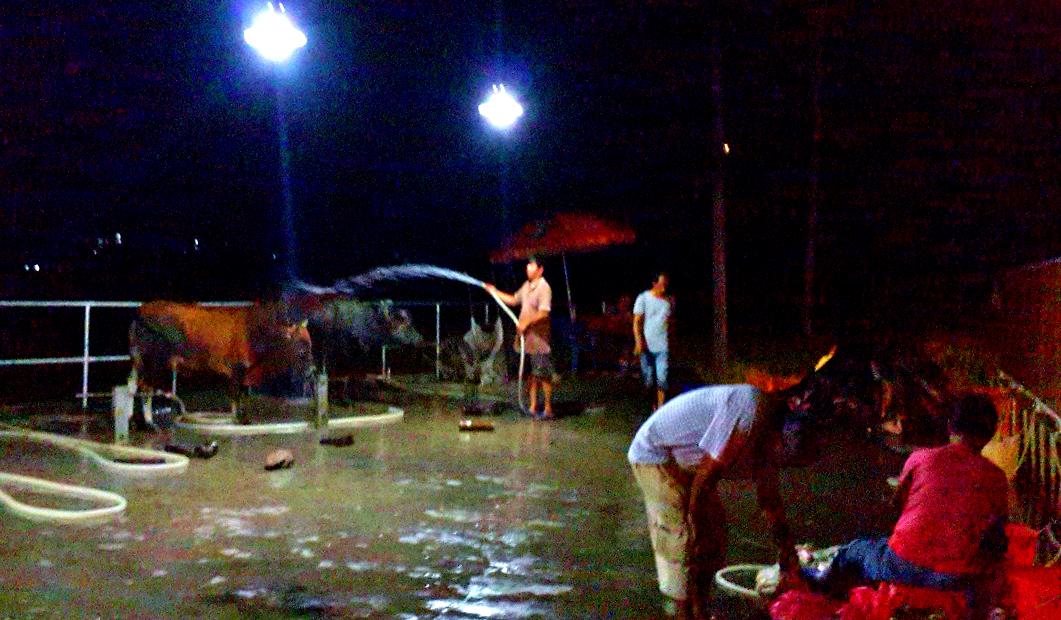 20140928_195656.jpg