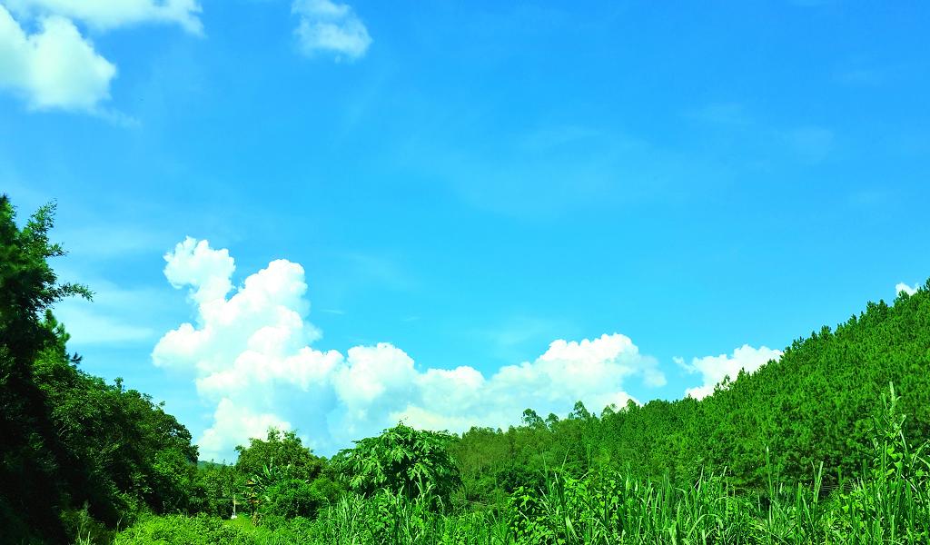 20140902_142700.jpg