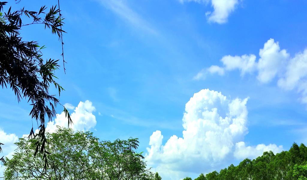 20140902_142303.jpg