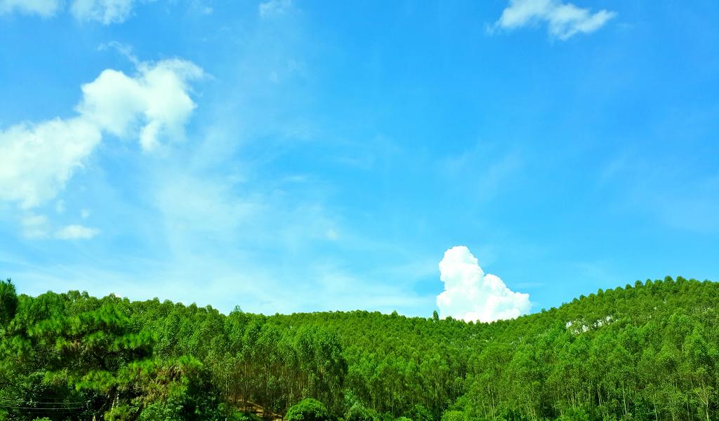 20140902_142232.jpg