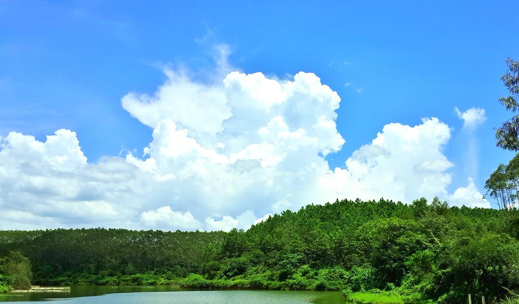 20140902_130029.jpg