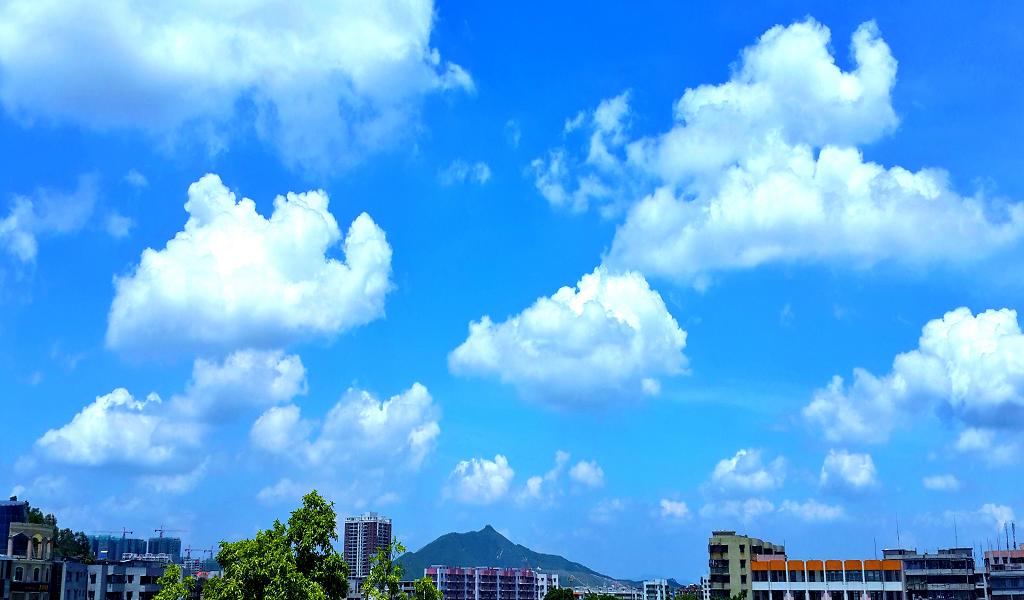 20140902_120730.jpg