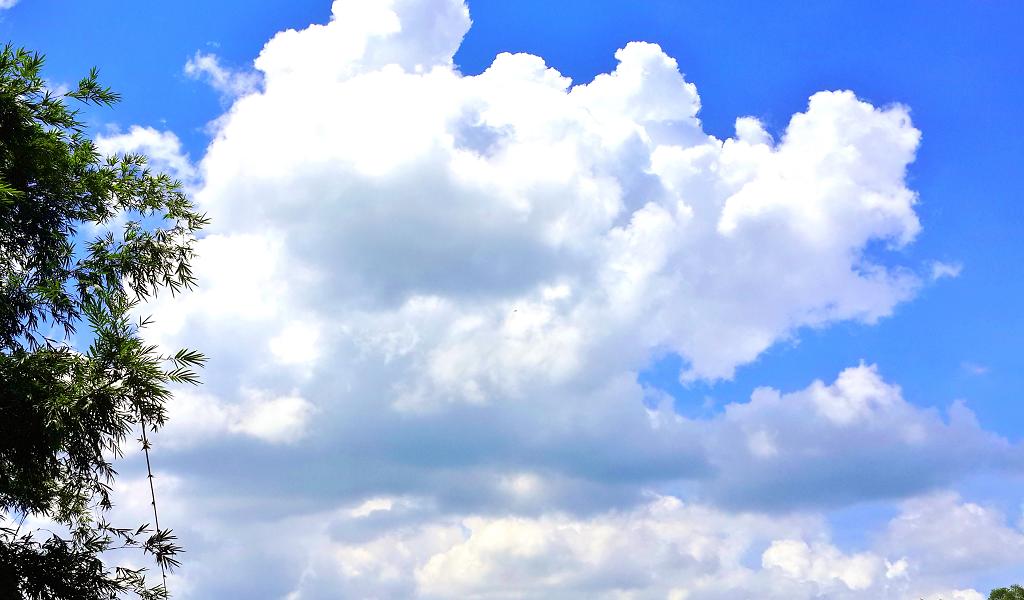 20140902_130102.jpg