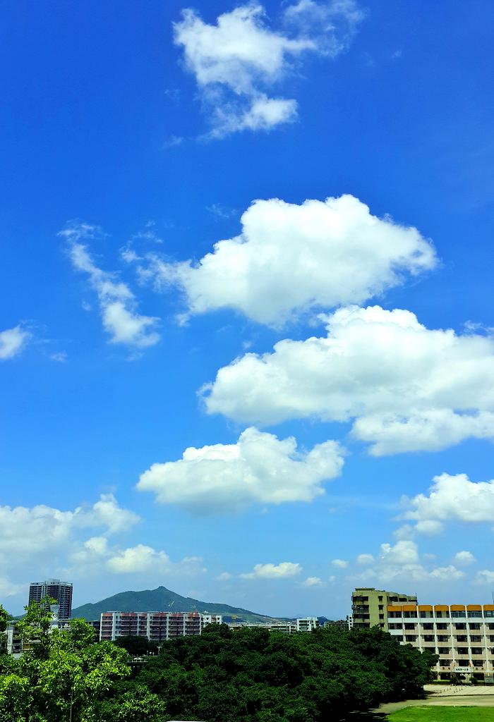 20140902_120309.jpg